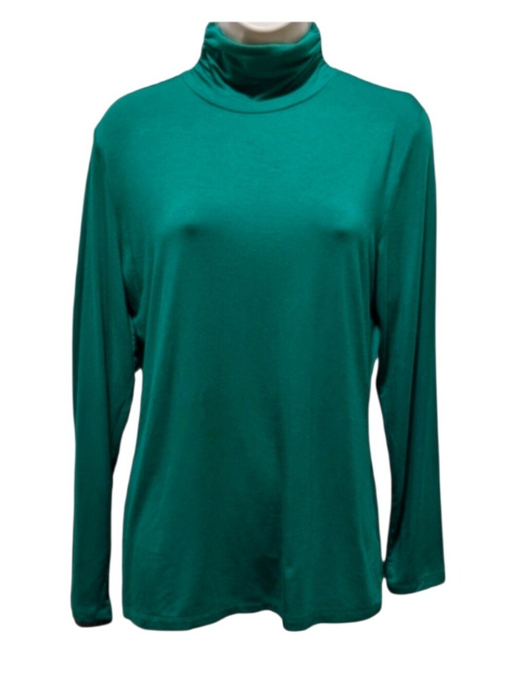 Women's Style & Co Green Long Sleeve Turtleneck Shirt